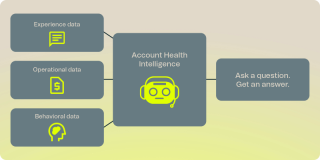 Account Health Intelligence Agent 2