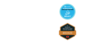 Snowflake and Databricks logo along with AI Data Cloud Services Partner badge from Snowflake as well as  Bronze Partner badge for Databricks