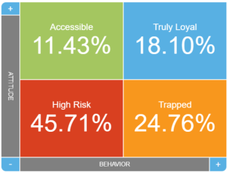 Loyalty matrix widget